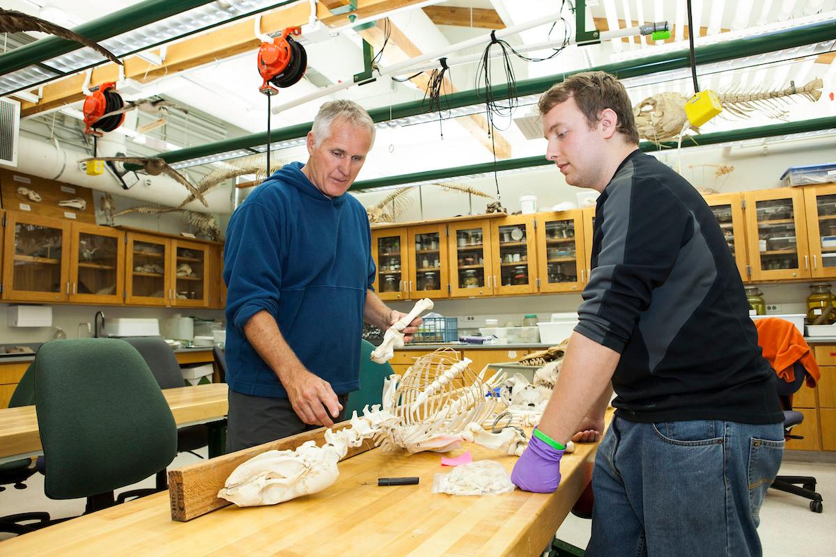 student and professor in a lab looking at skull.