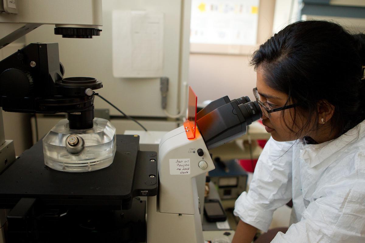 student observing lab species in machine